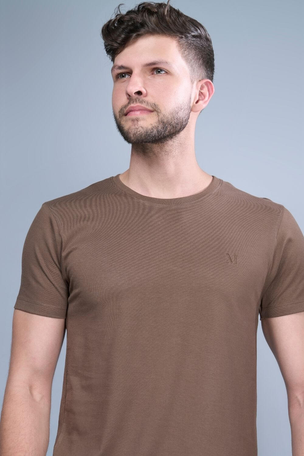 Brown colored, cotton solid T shirt for men with half sleeves and round neck from vibgyor series collection, front view.