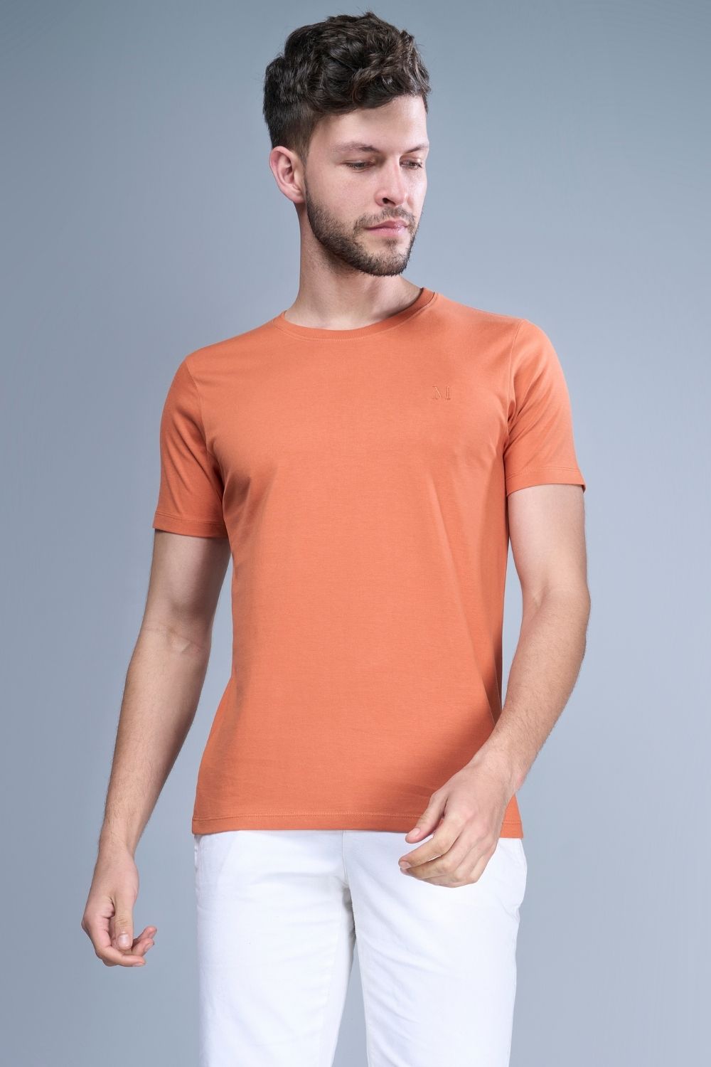 Solid T shirt for men in the color Sand stone  with half sleeves and round neck, front view.