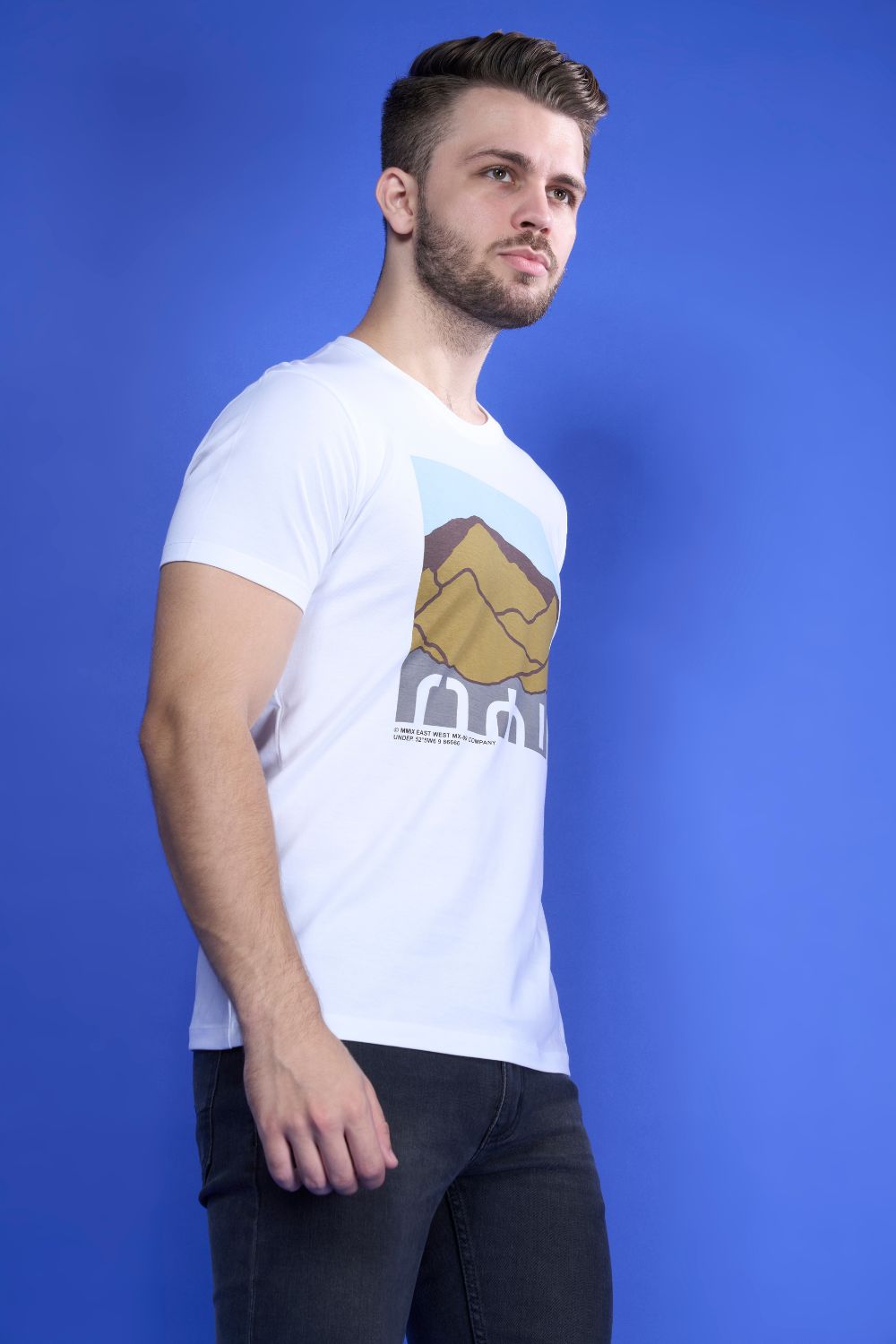 White colored, cotton Graphic inc T shirt for men, half sleeves and round neck, side view.