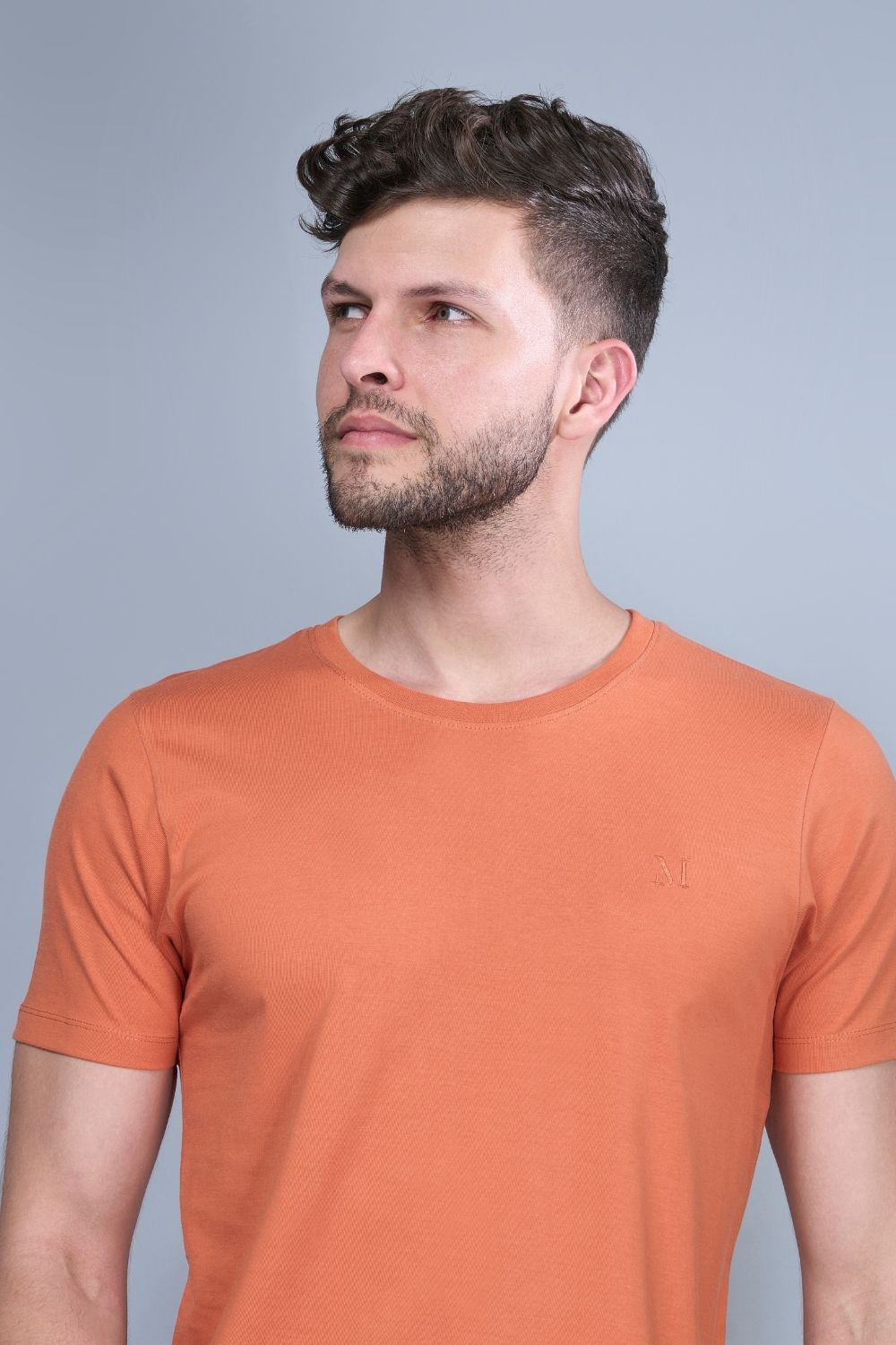 Solid T shirt for men in the color Sand stone  with half sleeves and round neck, close up.