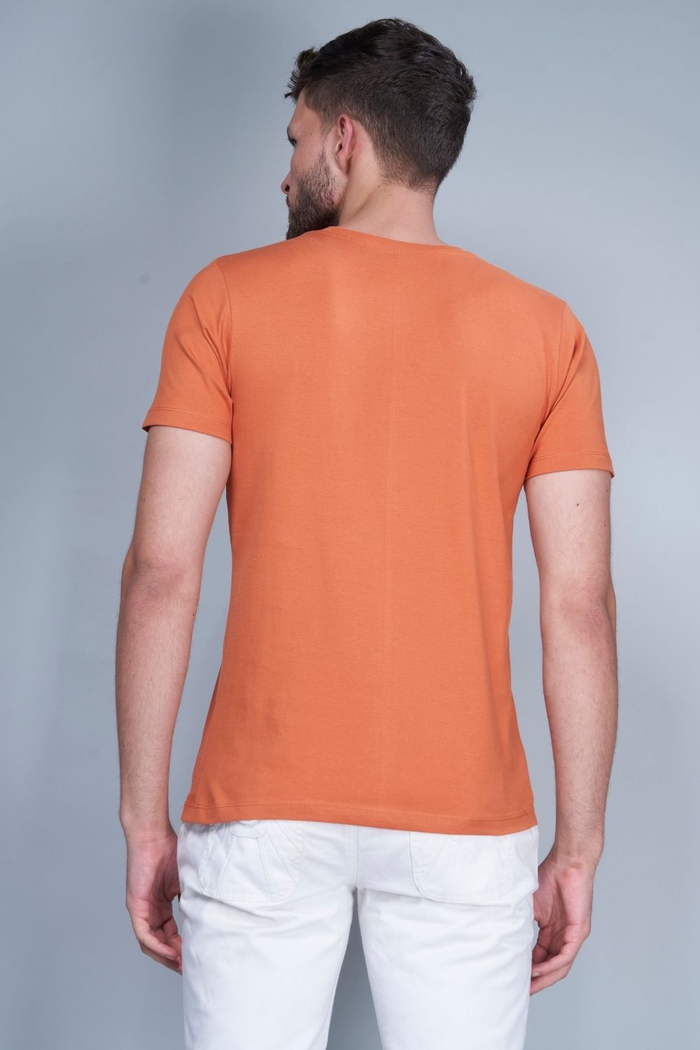 Solid T shirt for men in the color Sand stone  with half sleeves and round neck, back view.