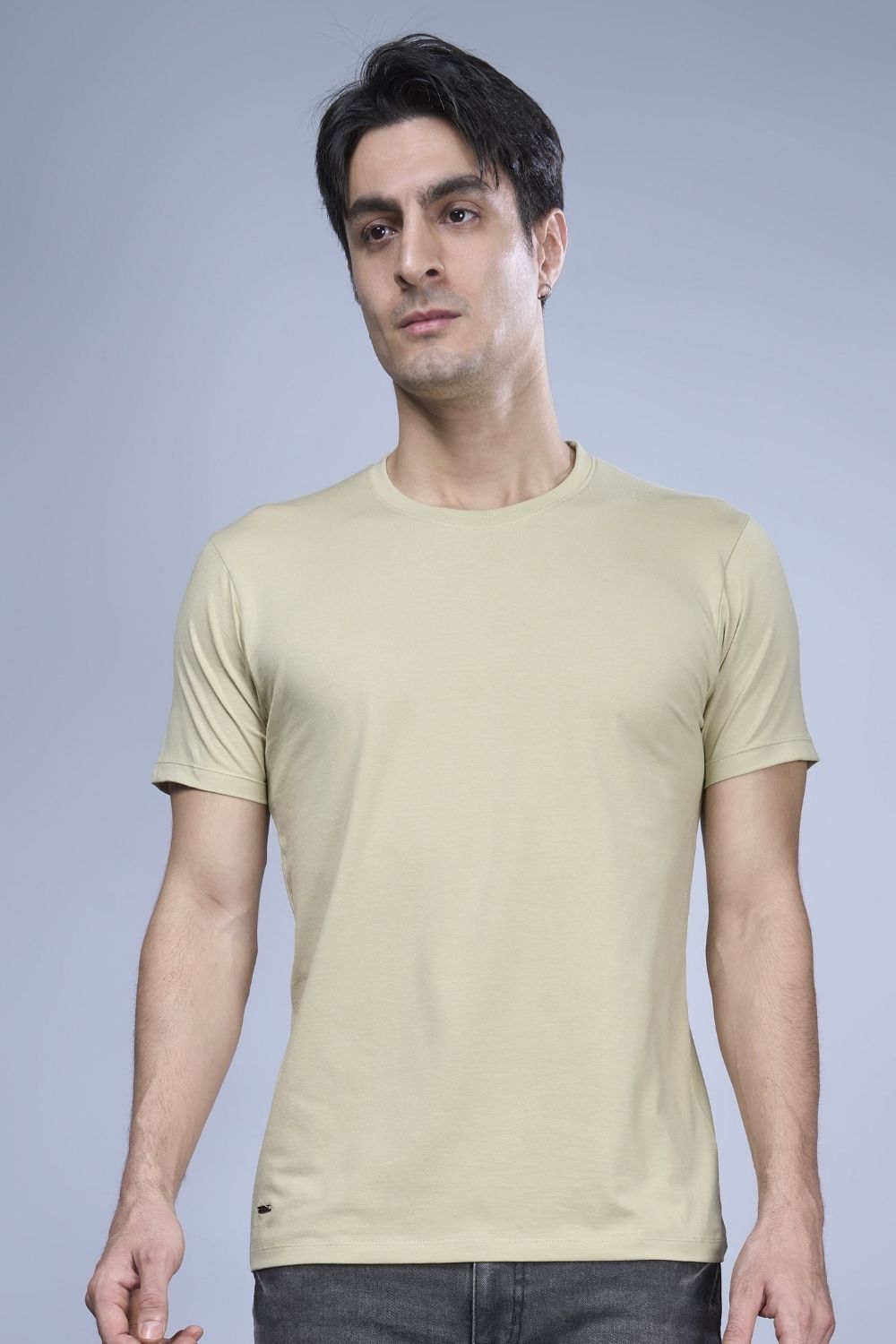 Cotton Stretch T shirt for men in the the solid color pale green with half sleeves and round neck, front view.