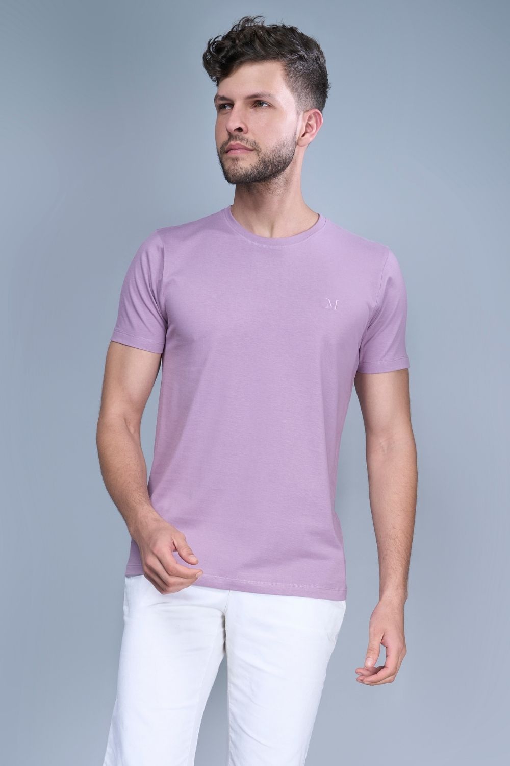 Solid T shirt for men in the color Purple  with half sleeves and round neck, front view.