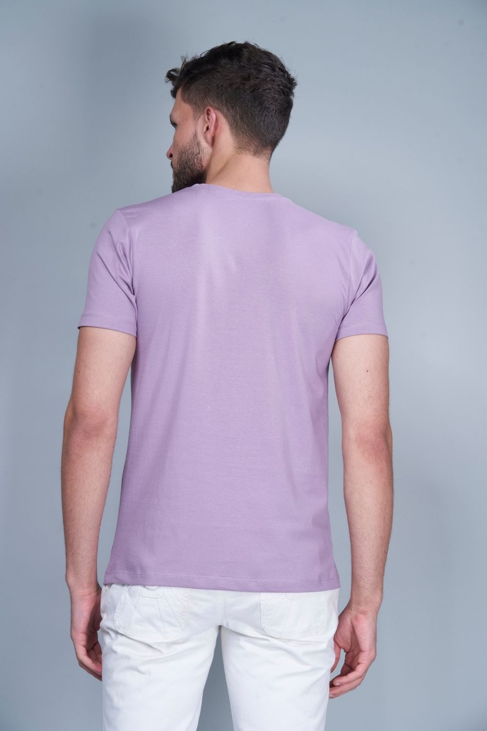 Solid T shirt for men in the color Purple  with half sleeves and round neck, back view.