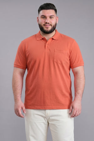 Color 4