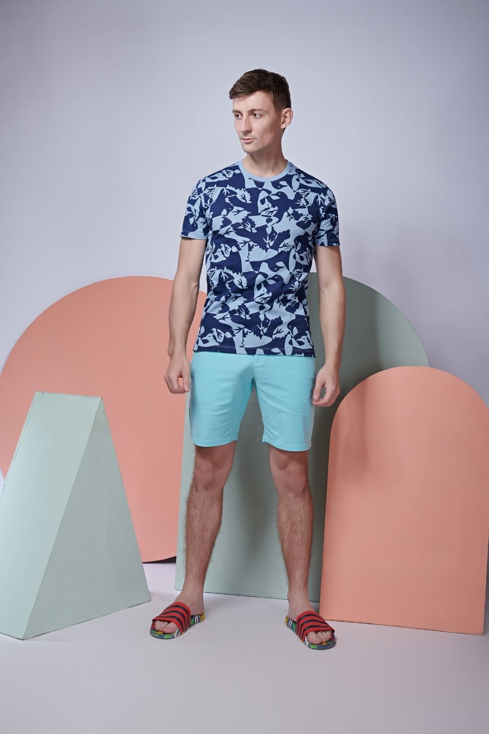 Bird patterned, all over print T shirt for men with half sleeves and round neck.