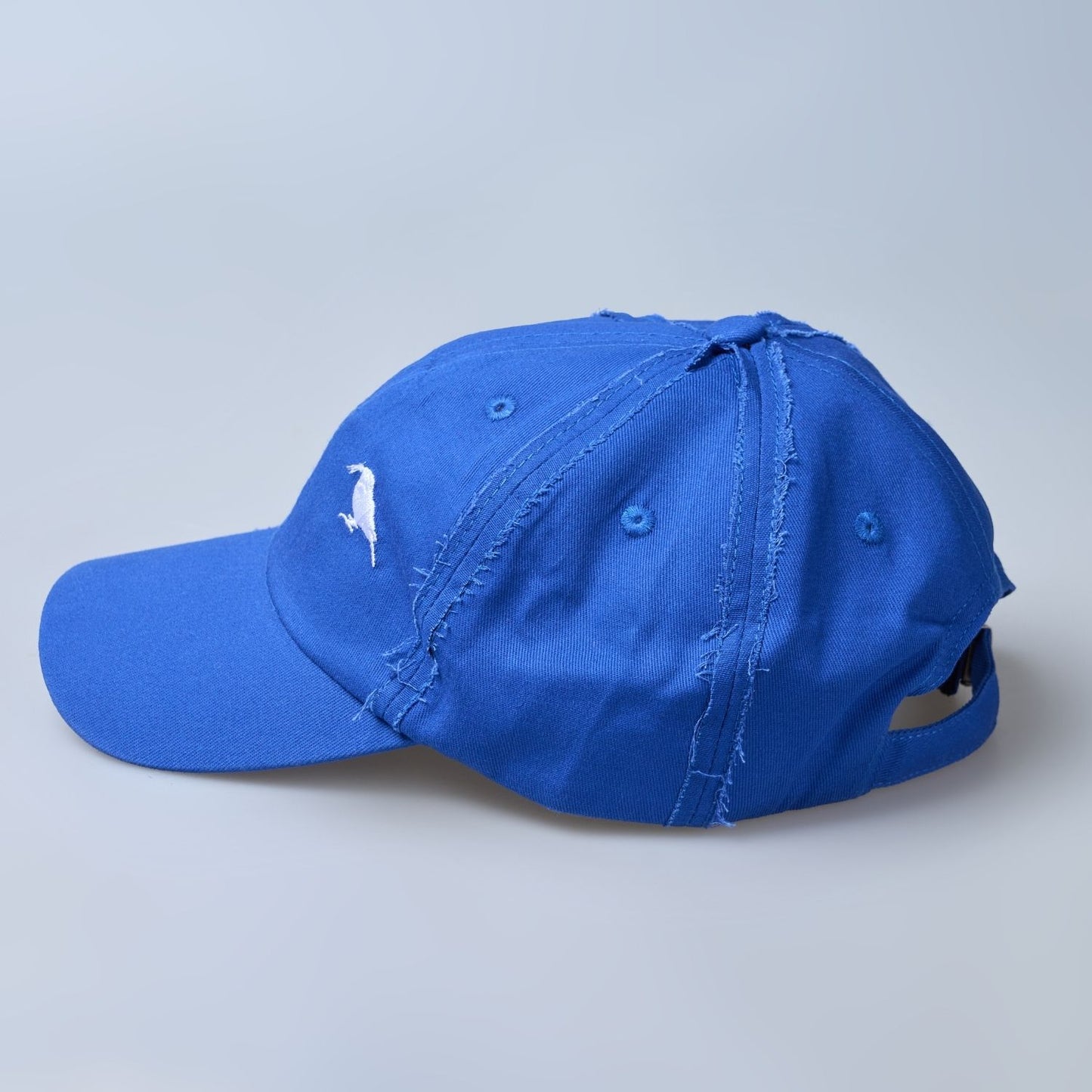 Blue colored, wide brim cap for men with adjustable strap.